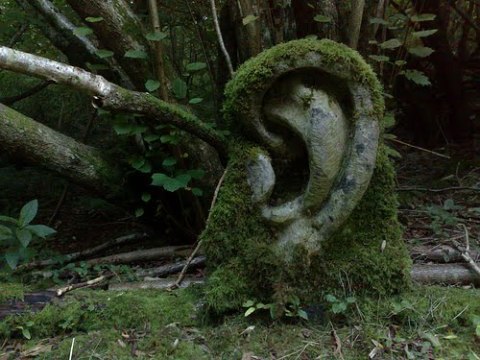 Segunda edición del proyecto colaborativo multidisciplinar «El sonido que habito» | Musikawa